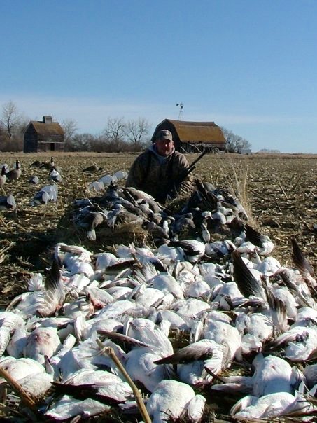 north dakota spring snow goose hunting 34567 - Ramsey Russell's