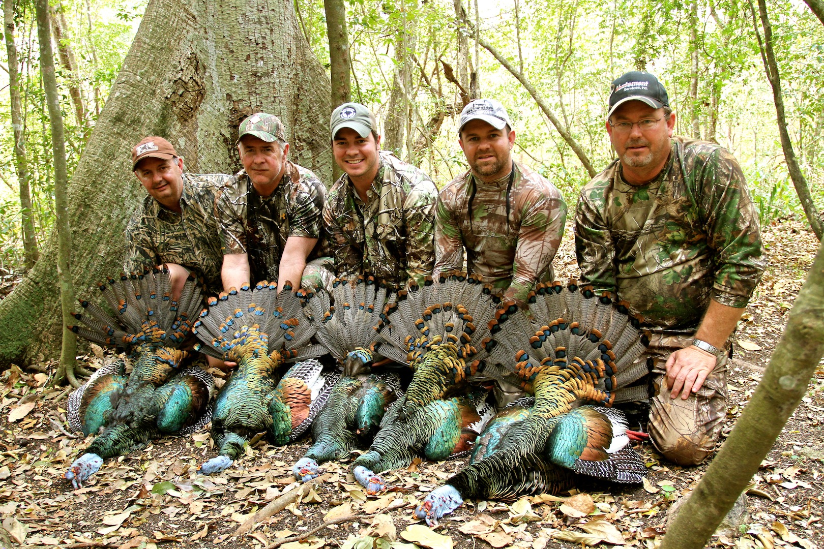 Mexico Ocellated Turkey Hunting
