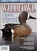 BLUE WINGED TEAL HUNTS