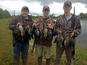 Willow _break _teal _hunt _2362