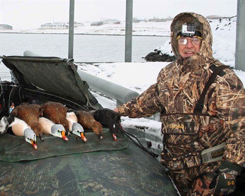 alaska%20king%20eider%20hunting%20john%20eads_500x400