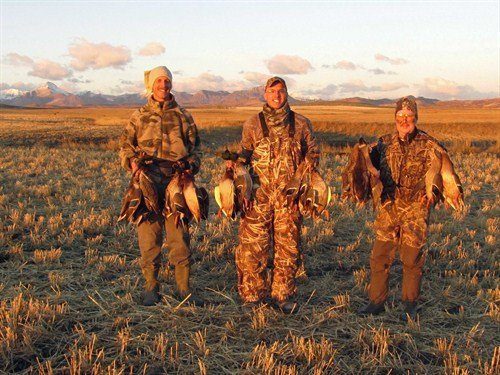 alberta%20canada%20duck%20hunting%20dbday2ab_500x375