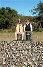 argentina%20dove%20hunt%20elizabeth%201_147x225