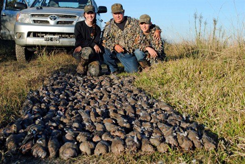 Remember Duck Life?