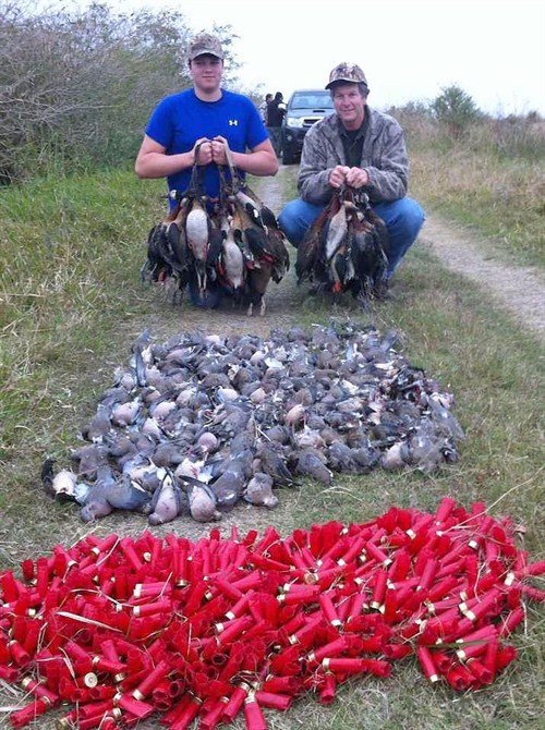 argentina%20duck%20and%20dove%20hunts%201861_500x670
