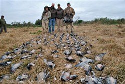 argentina%20duck%20hunt%20combo%20la%20paz%200055q_250x168