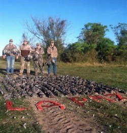 argentina%20pigeon%20hunting%20la%20paz%201863_250x262