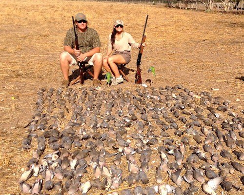 argentinadovehunting_500x400