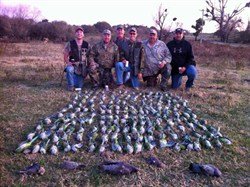 dove%20hunt%20argentina%203456fds98_250x187