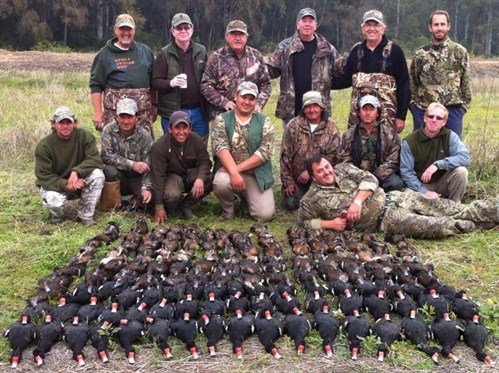 la%20paz%20argentina%20duck%20hunt%2045678_499x373