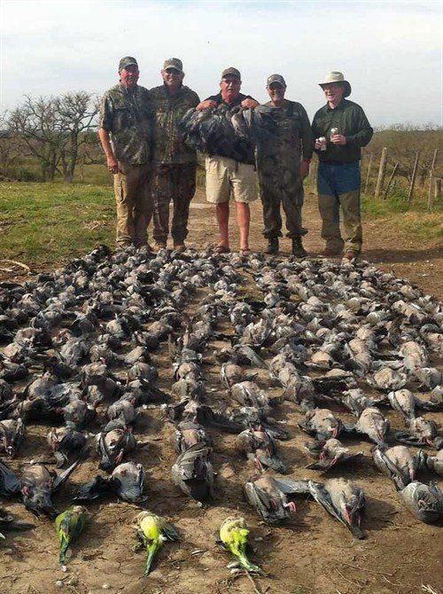 la%20paz%20argentina%20duck%20hunting_500x670