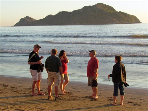 mazatlan%20mexico%20duck%20hunting%20beach%205953_500x375