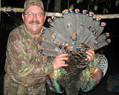 ocellated%20turkey%20hunting_0121_400x320