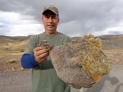 peru%20duck%20hunt%20lf00635_500x375