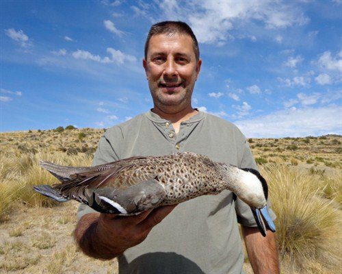 peru%20duck%20hunt%20puna%20teal%2000594_500x400