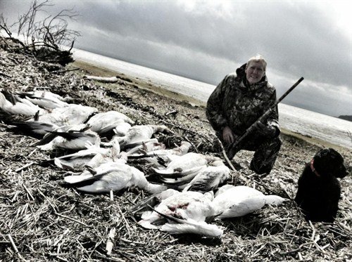 quebec%20snow%20goose%20hunting%20munk%20951803_500x373