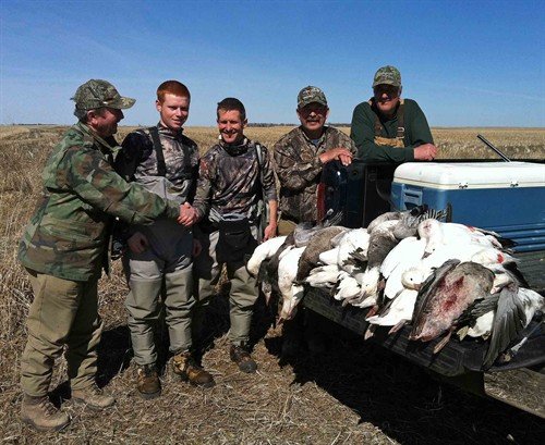 spring%20snow%20goose%20hunting%20in%20south%20dakota_500x409