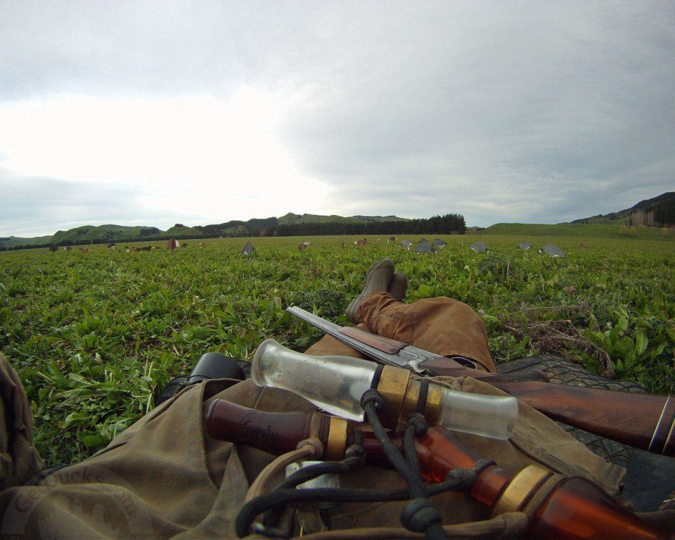 new zealand duck hunting blinds