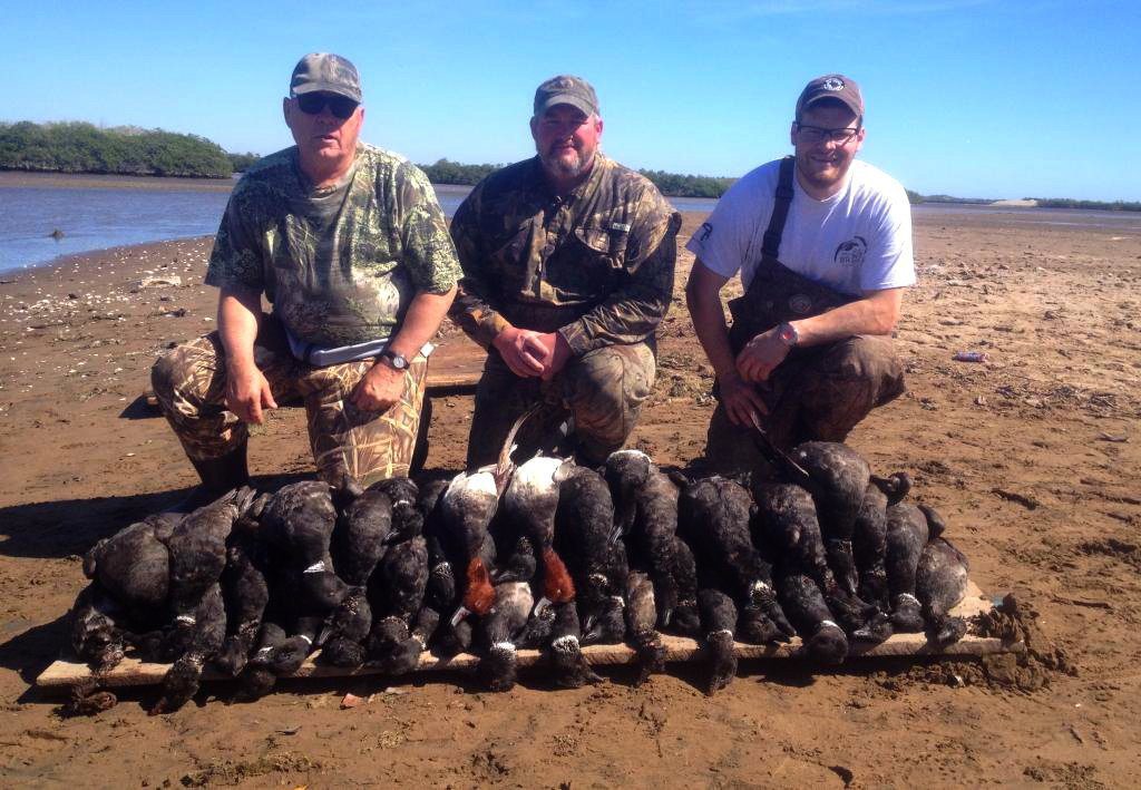 best mexico brant hunting