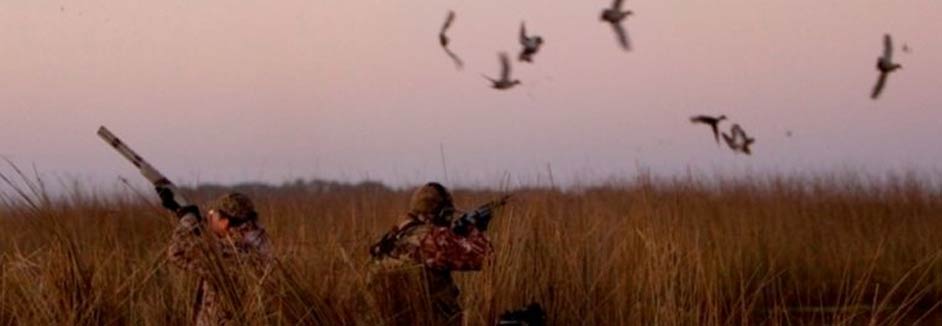 North American Waterfowl Flyways