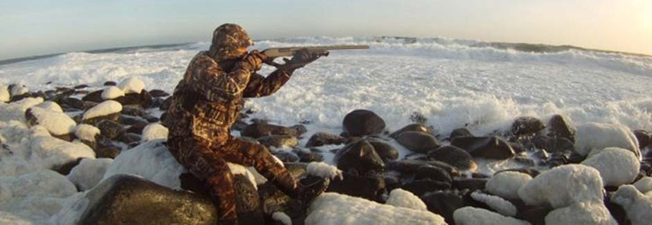 alaska king eider hunting