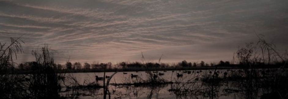 Alberta Canada Duck and Goose Hunt