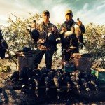 brant hunting mexico numbers