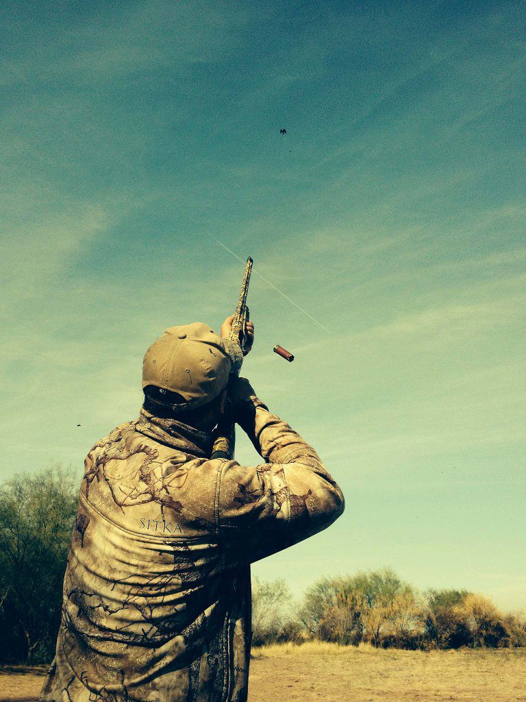 mexico dove hunting
