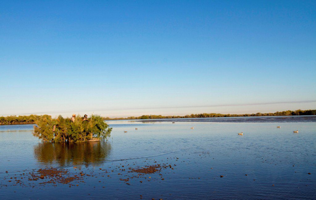 best guided mexico duck hunting