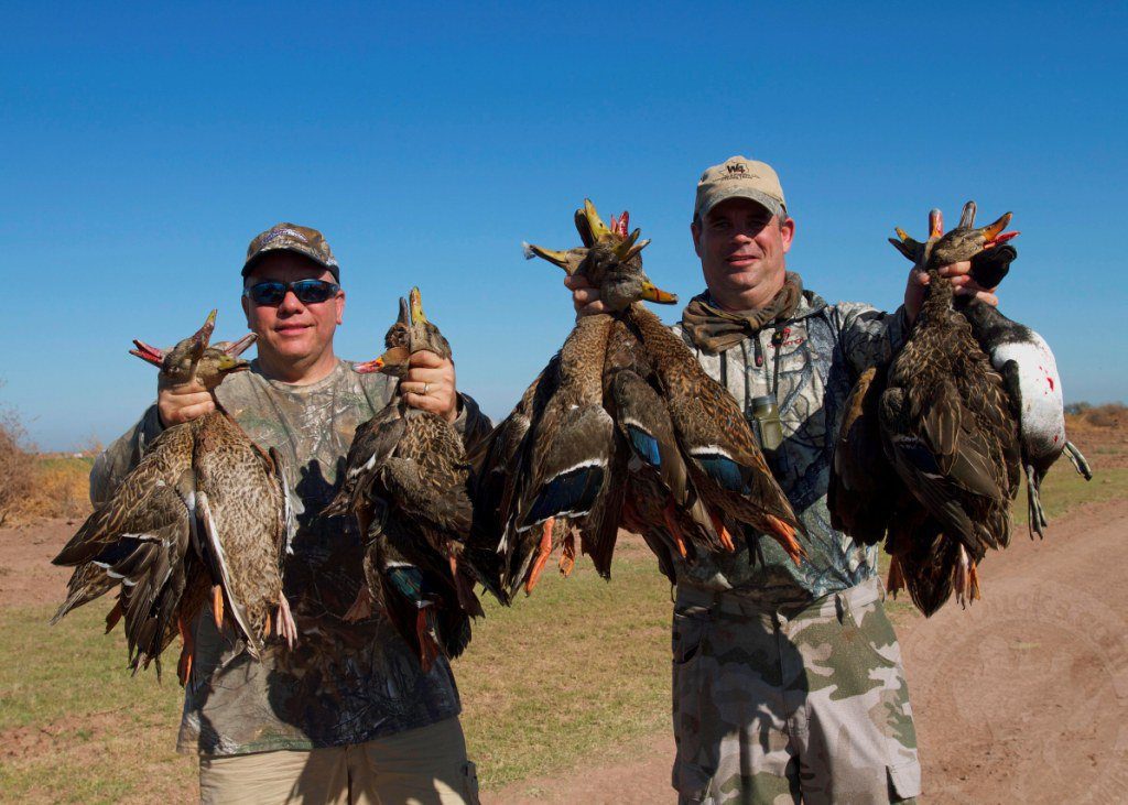 top rated mexico duck and goose hunting