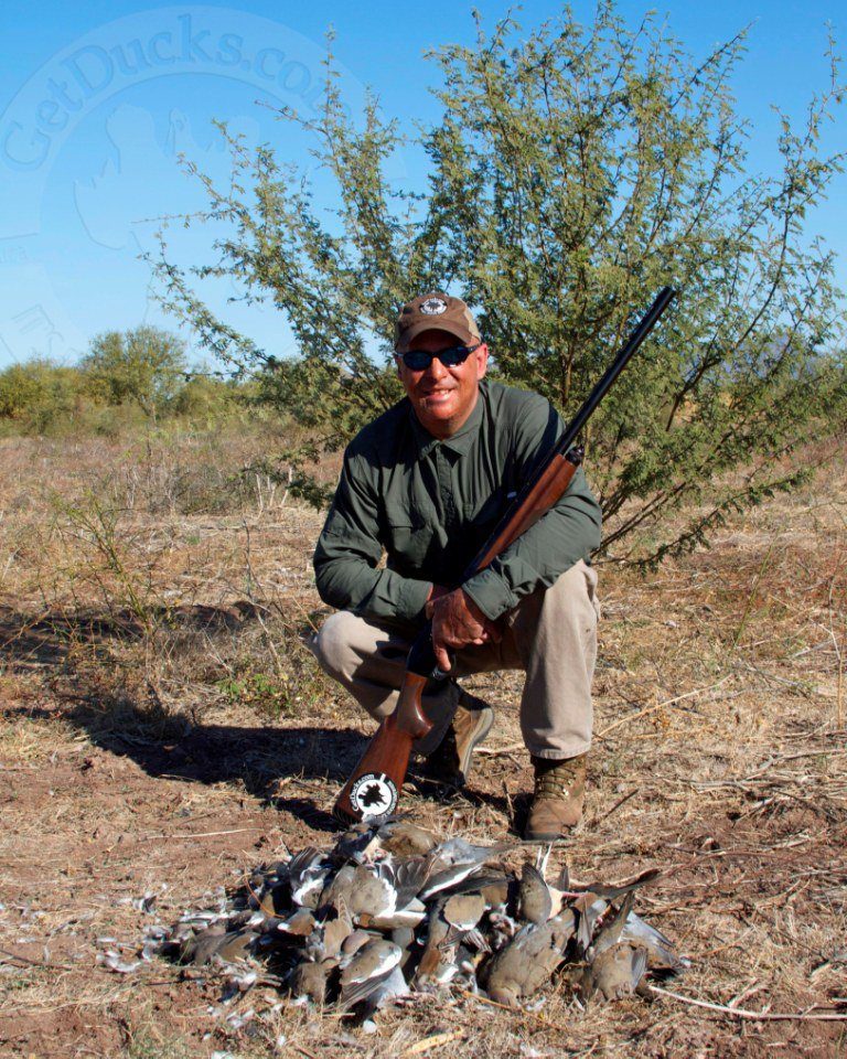 mexico white winged dove hunting