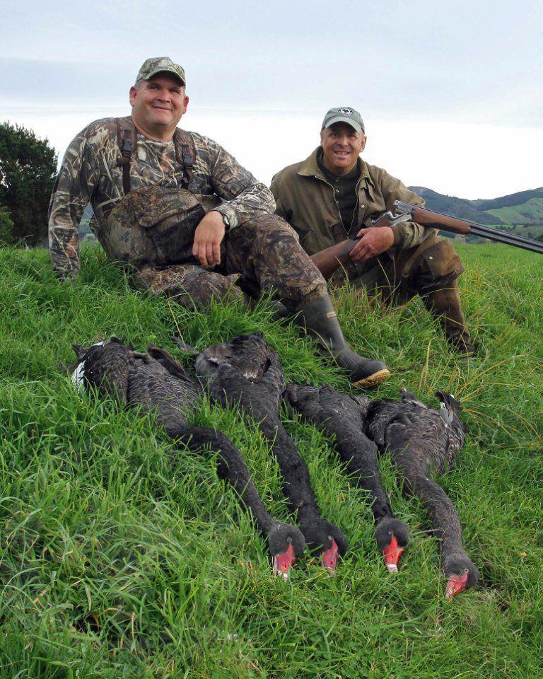 best new zealand duck hunting