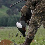 best rated guided duck hunting new zealand