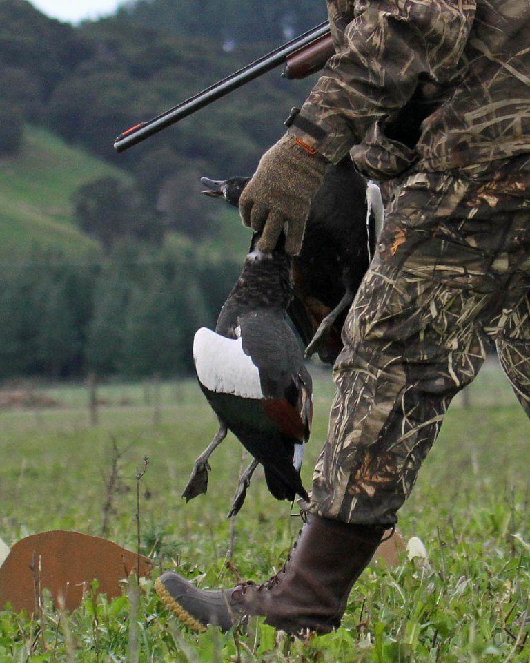 best rated guided duck hunting new zealand