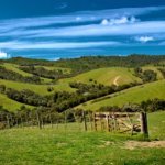 best hunting places in new zealand