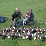 top rated new zealand hunting expeditions
