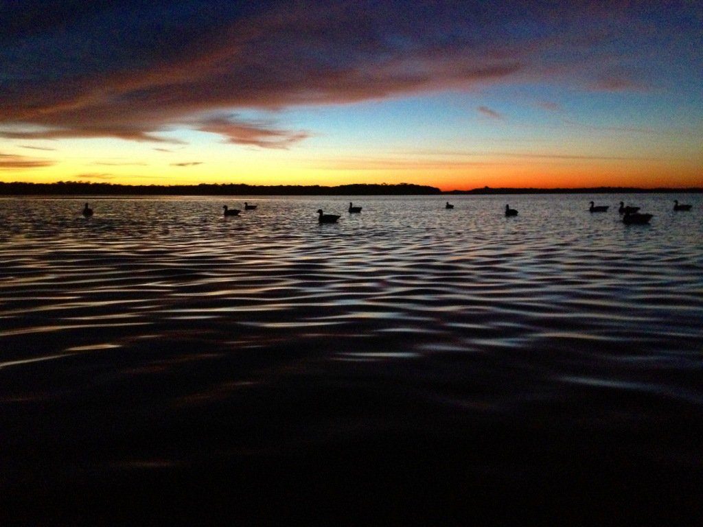 mexico brant hunting