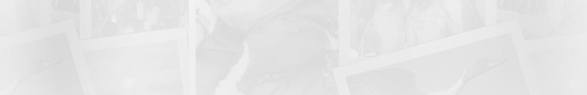 USHuntList.com