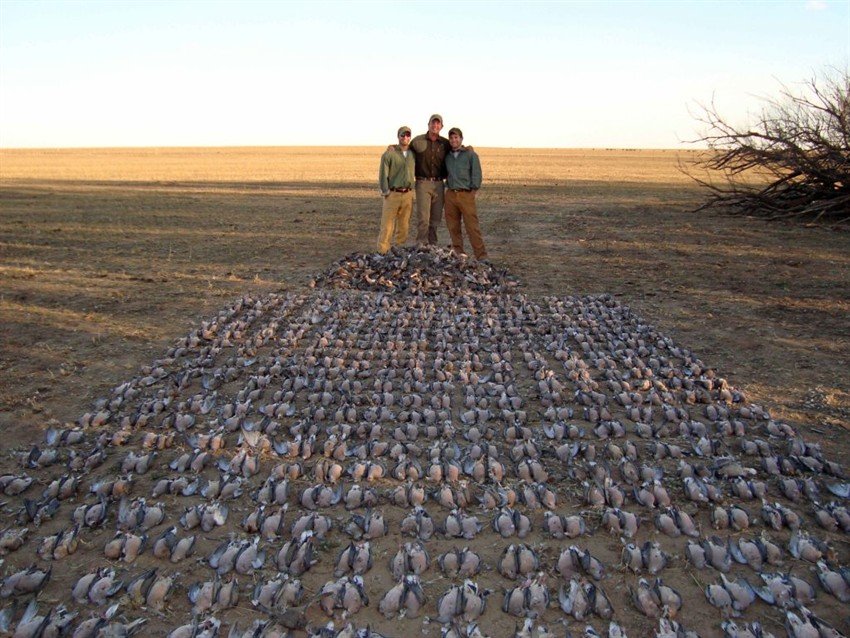 La Paz Argentina Duck Hunting