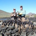 Baja Mexico Pacific Black Brant Hunting