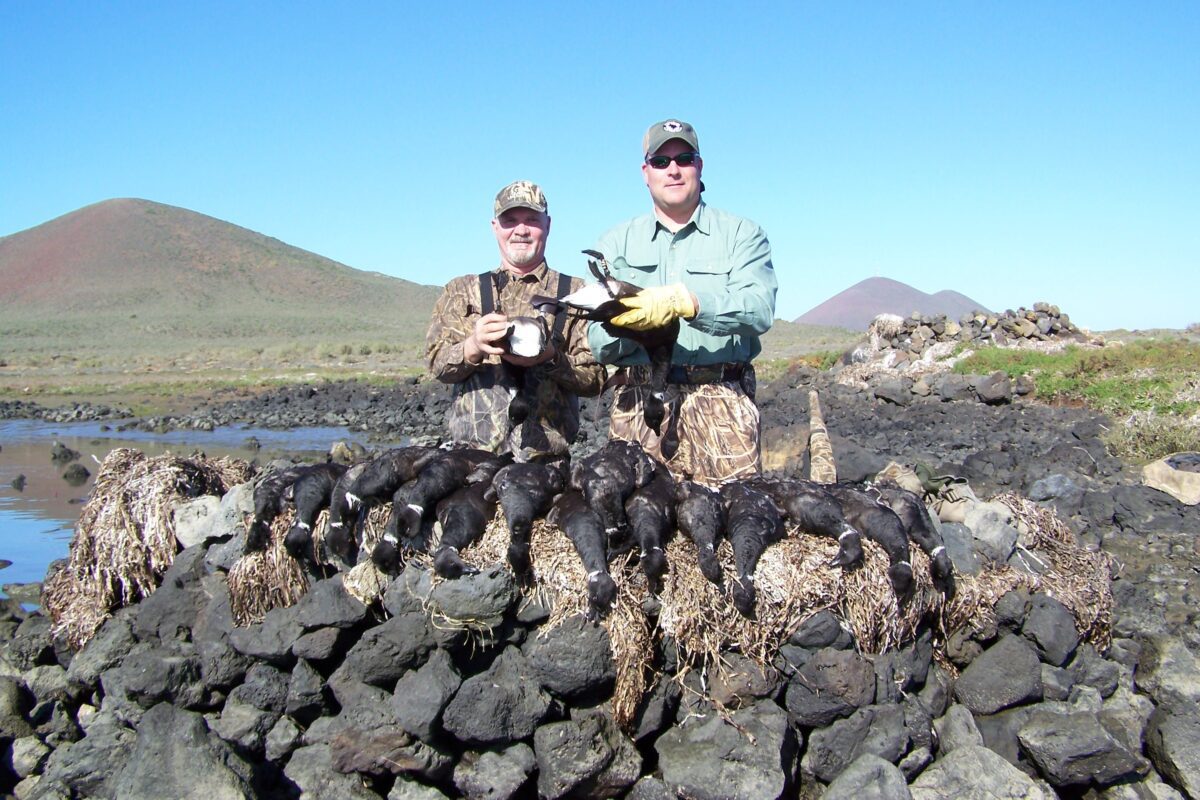 Baja Mexico Pacific Black Brant Hunting