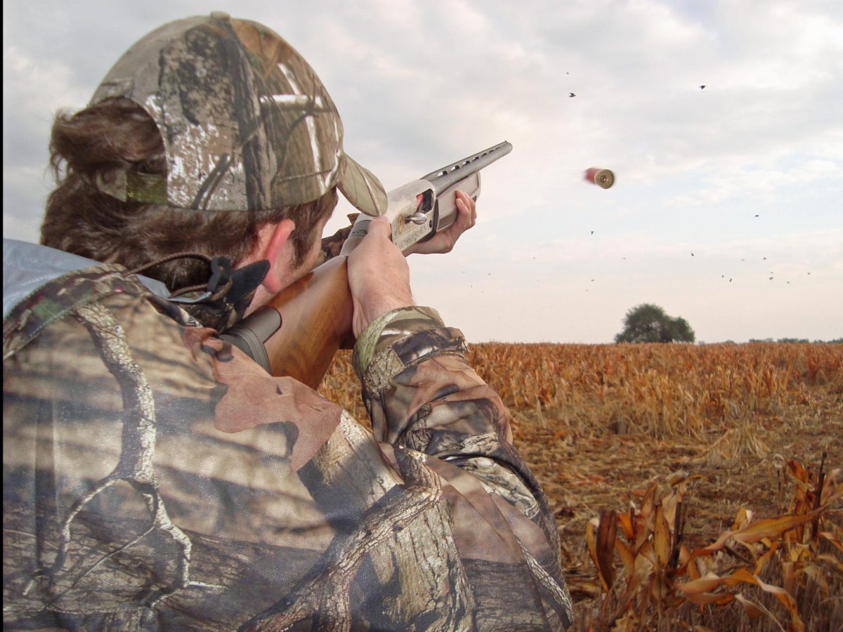 La Paz Argentina Duck Hunting