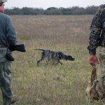 La Paz Argentina Hunting