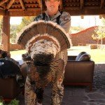 Gould's Wild Turkey Hunting