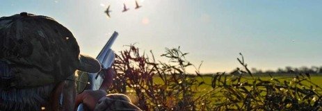 LA-PAZ-ARGENTINA LA PAZ ARGENTINA DUCK HUNTING