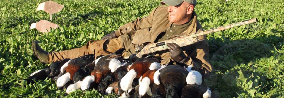 New Zealand Duck Hunting