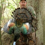 Ocellated Turkey Hunting
