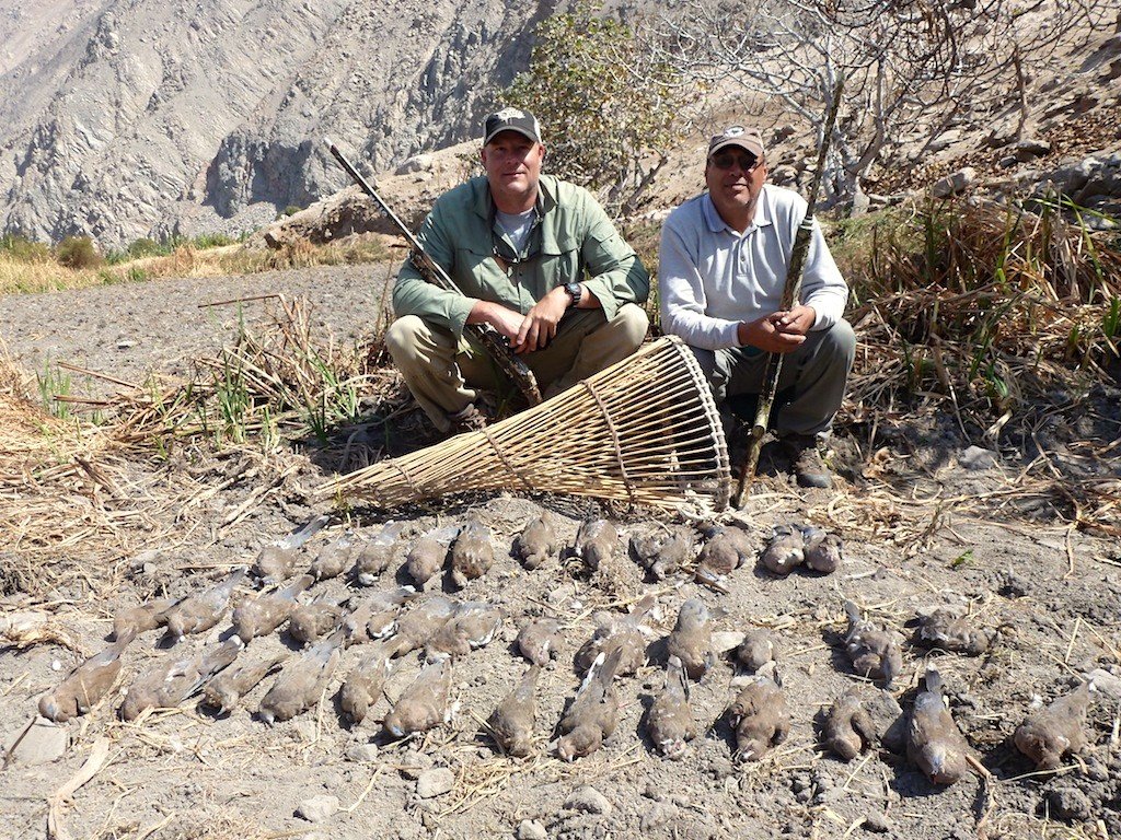 Peru Cinnamon Teal Hunting