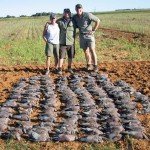 South Africa Bird Hunting