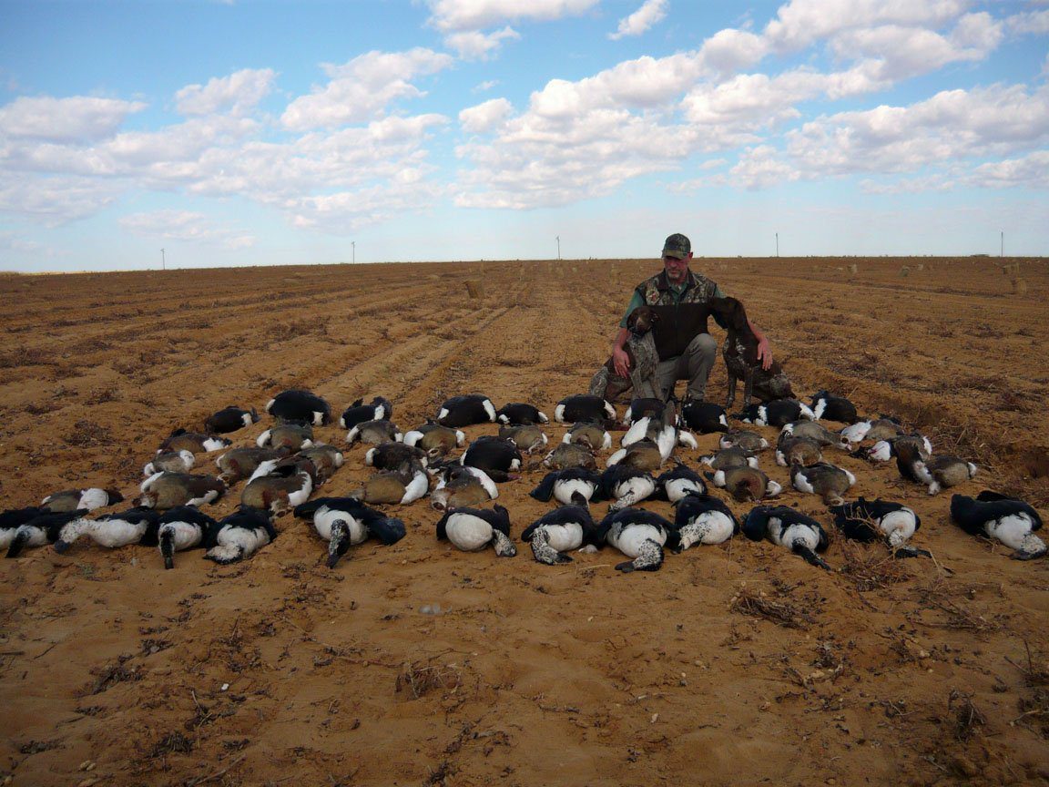 South Africa Bird Hunting